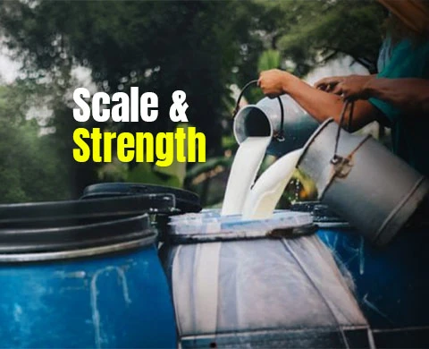 Creamy Foods Limited Scale & Strength